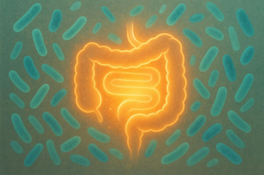 How Probiotics Reduce Gut Inflammation