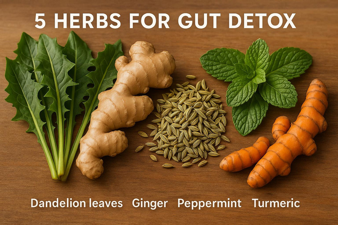 5 Herbs for Gut Detox
