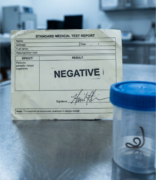 Standard testing limitations